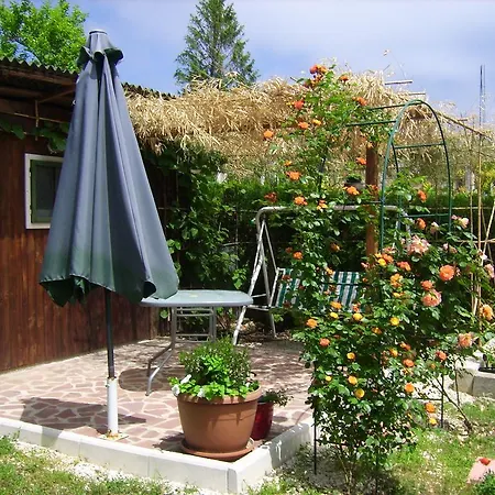 Tanja 3*